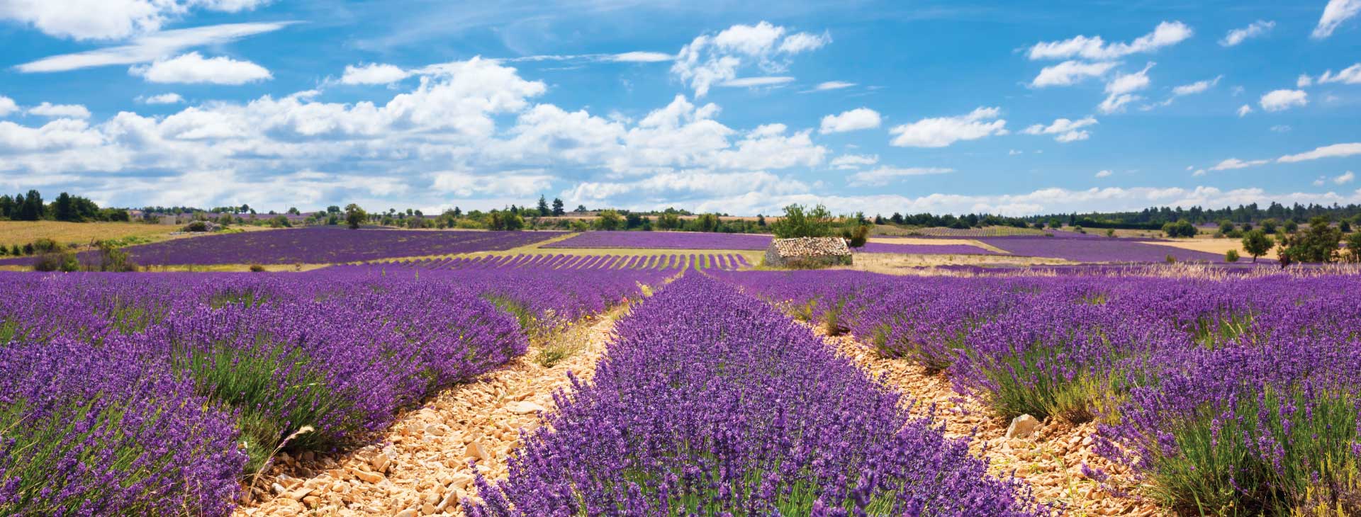 Príroda sa ti
poďakuje krásou